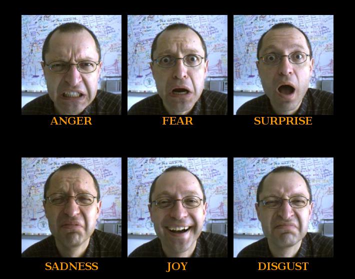 Six Basic Facial Expressions